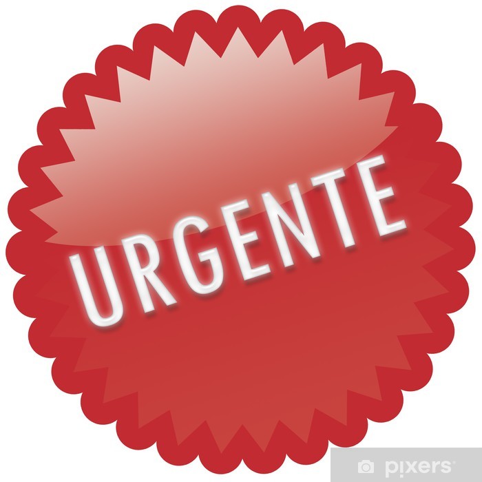 REFERENTE AOS PAGAMENTOS DO PROCESSO  SELTEC